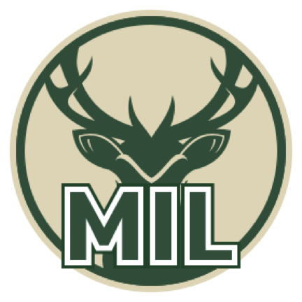 明尼苏达森林狼